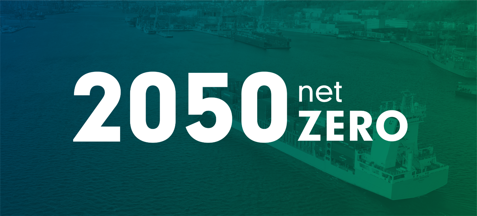 Net Zero 2050 (1)