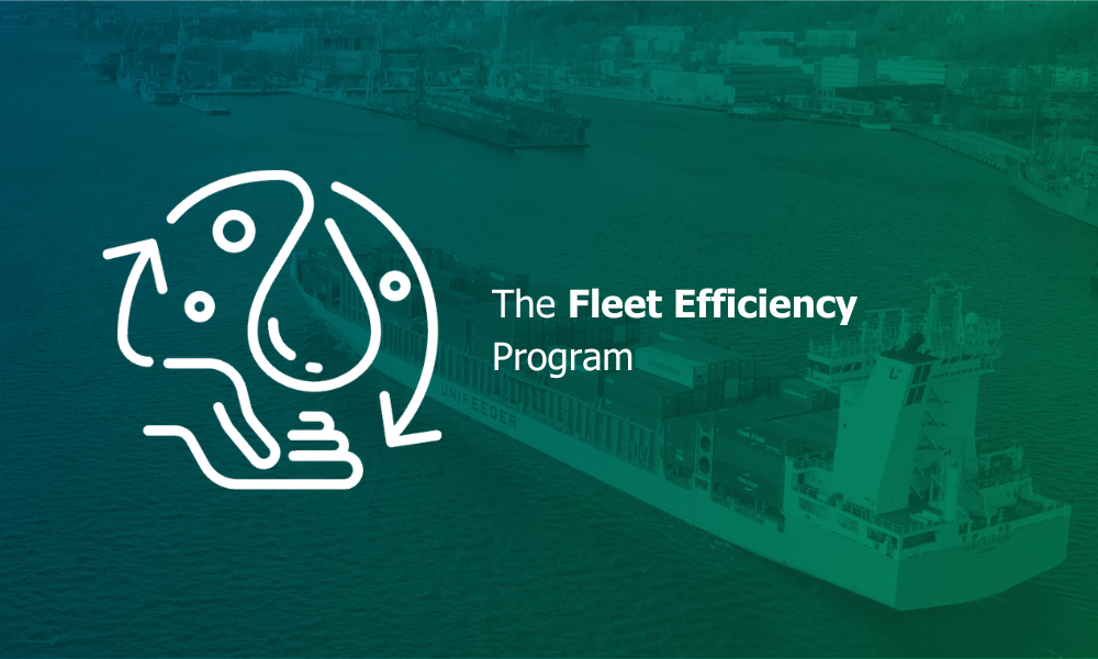 The Fleet Efficiency Program
