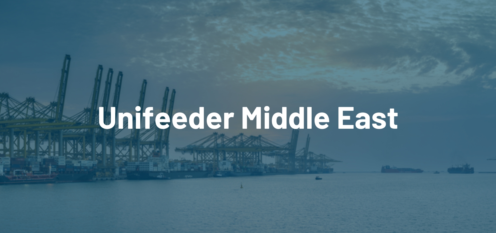 Middle East (1700 × 800 px)